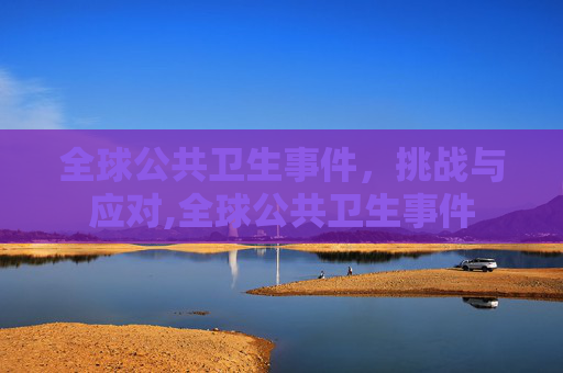 全球公共卫生事件，挑战与应对,全球公共卫生事件