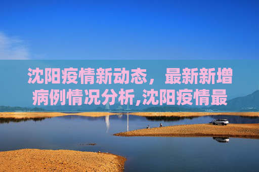 沈阳疫情新动态，最新新增病例情况分析,沈阳疫情最新新增病例