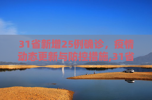 31省新增25例确诊，疫情动态更新与防控措施,31省新增25例确诊