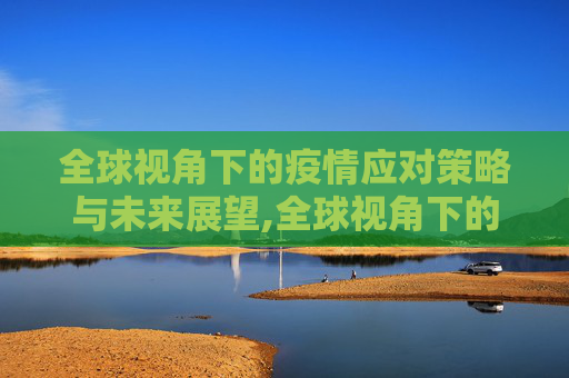 全球视角下的疫情应对策略与未来展望,全球视角下的疫情应对策略与未来展望