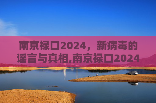 南京禄口2024，新病毒的谣言与真相,南京禄口2024出现新病毒了吗