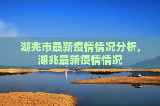 湖兆市最新疫情情况分析,湖兆最新疫情情况