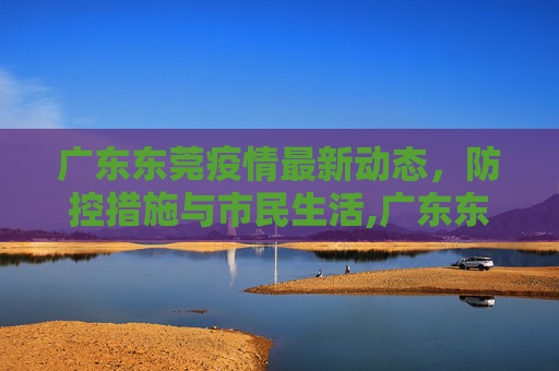 广东东莞疫情最新动态，防控措施与市民生活,广东东莞疫情最新情况