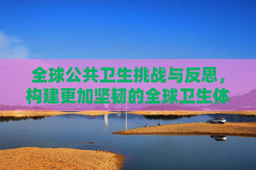 全球公共卫生挑战与反思，构建更加坚韧的全球卫生体系,全球公共卫生挑战与反思