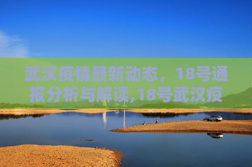 武汉疫情最新动态，18号通报分析与解读,18号武汉疫情最新通报