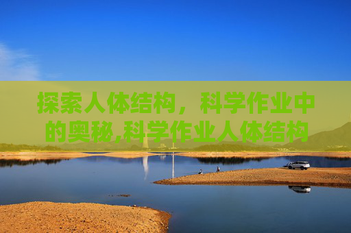 探索人体结构，科学作业中的奥秘,科学作业人体结构
