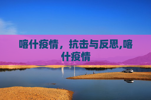 喀什疫情，抗击与反思,喀什疫情
