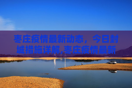 枣庄疫情最新动态，今日封城措施详解,枣庄疫情最新消息今天封城了