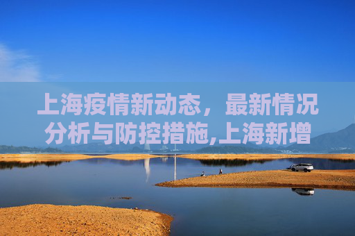 上海疫情新动态，最新情况分析与防控措施,上海新增疫情最新情况