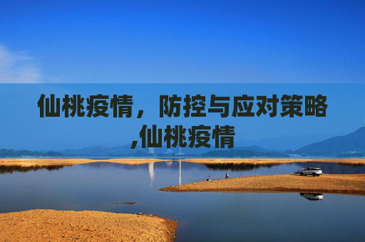 仙桃疫情，防控与应对策略,仙桃疫情