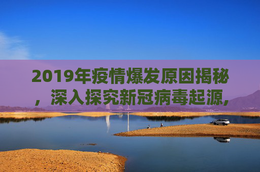2019年疫情爆发原因揭秘，深入探究新冠病毒起源,2019年疫情爆发原因揭秘