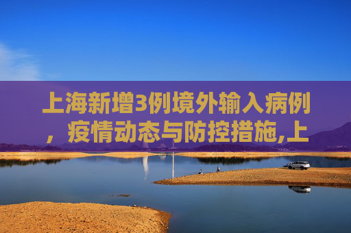 上海新增3例境外输入病例，疫情动态与防控措施,上海新增3例境外输入病例的简单介绍