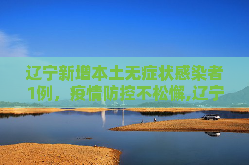 辽宁新增本土无症状感染者1例，疫情防控不松懈,辽宁新增本土无症状1例