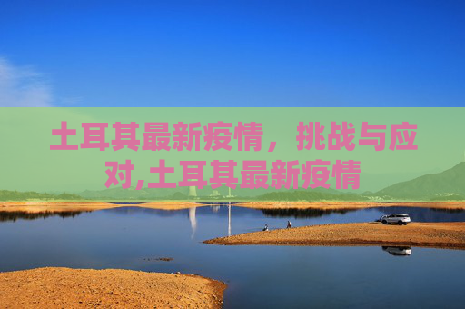 土耳其最新疫情，挑战与应对,土耳其最新疫情