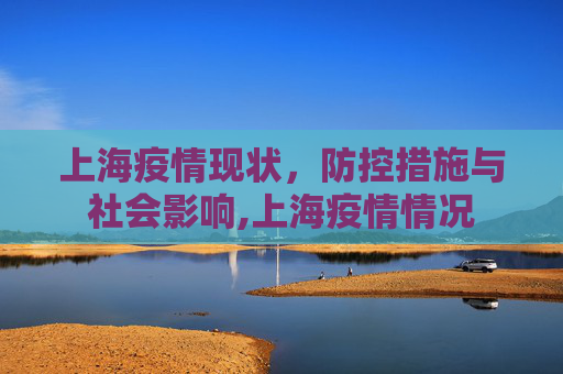 上海疫情现状，防控措施与社会影响,上海疫情情况