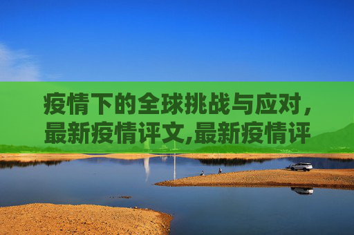 疫情下的全球挑战与应对，最新疫情评文,最新疫情评文