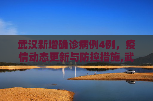 武汉新增确诊病例4例，疫情动态更新与防控措施,武汉新增确诊病例4例