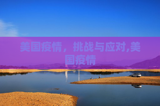 美国疫情，挑战与应对,美国疫情