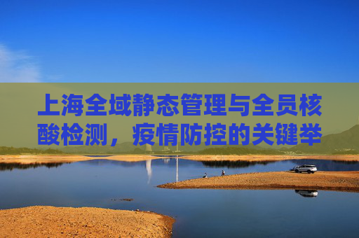 上海全域静态管理与全员核酸检测，疫情防控的关键举措,上海全域静态管理全员核酸