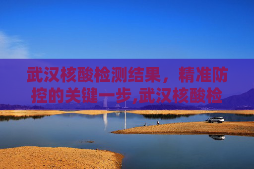 武汉核酸检测结果，精准防控的关键一步,武汉核酸检测结果