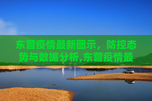 东营疫情最新图示，防控态势与数据分析,东营疫情最新图示