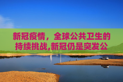 新冠疫情，全球公共卫生的持续挑战,新冠仍是突发公共卫生事件