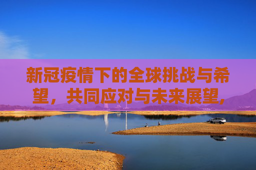 新冠疫情下的全球挑战与希望，共同应对与未来展望,新冠疫情下的全球挑战与希望