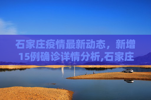 石家庄疫情最新动态，新增15例确诊详情分析,石家庄新增15例确诊详情