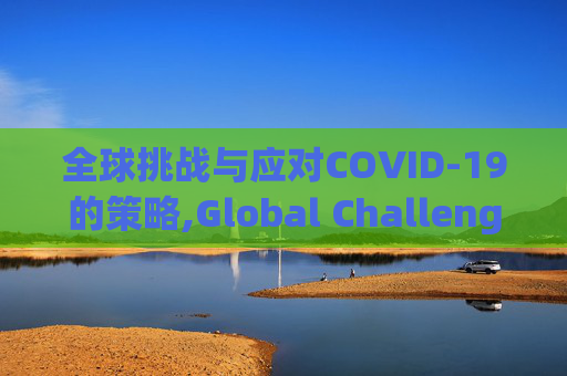 全球挑战与应对COVID-19的策略,Global Challenge and Coping Strategies of COVID19