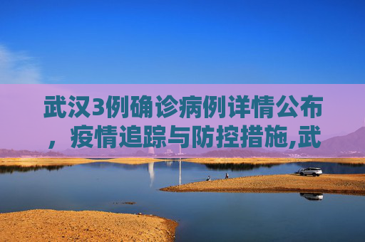 武汉3例确诊病例详情公布，疫情追踪与防控措施,武汉3例确诊病例详情公布