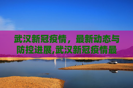 武汉新冠疫情，最新动态与防控进展,武汉新冠疫情最新消息