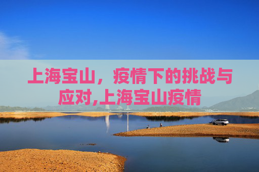 上海宝山，疫情下的挑战与应对,上海宝山疫情