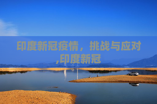印度新冠疫情，挑战与应对,印度新冠