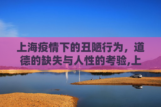 上海疫情下的丑陋行为，道德的缺失与人性的考验,上海疫情下的丑陋行为