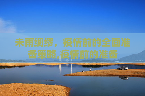 未雨绸缪，疫情前的全面准备策略,疫情前的准备