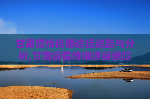 甘肃疫情传播途径追踪与分析,甘肃疫情传播途径追踪与分析