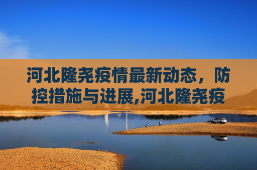 河北隆尧疫情最新动态，防控措施与进展,河北隆尧疫情最新消息