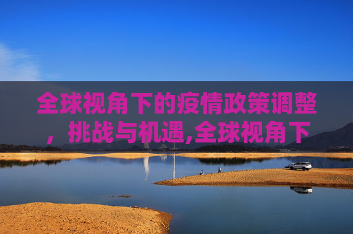全球视角下的疫情政策调整，挑战与机遇,全球视角下的疫情政策调整