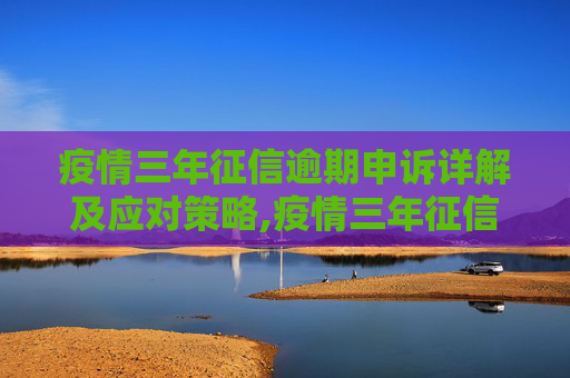 疫情三年征信逾期申诉详解及应对策略,疫情三年征信逾期申诉详解及应对策略