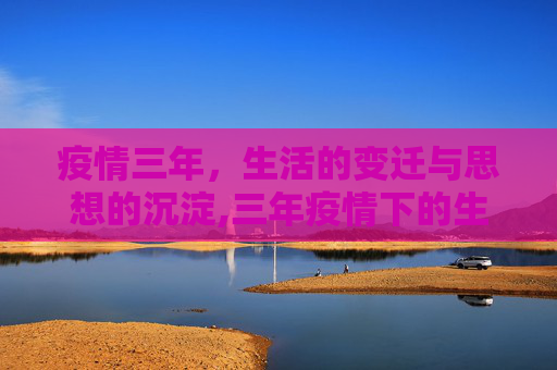 疫情三年，生活的变迁与思想的沉淀,三年疫情下的生活与思考