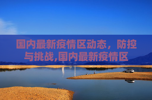 国内最新疫情区动态，防控与挑战,国内最新疫情区