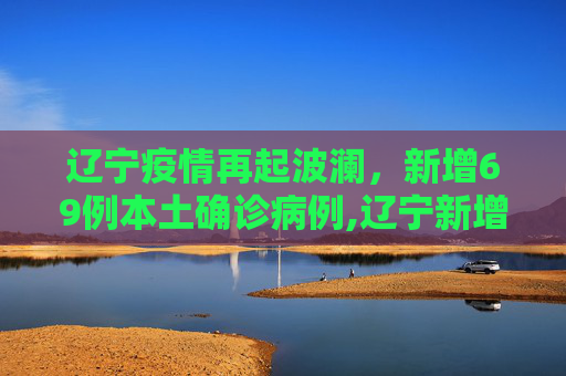 辽宁疫情再起波澜，新增69例本土确诊病例,辽宁新增69例本土确诊