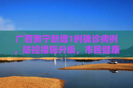 广西南宁新增1例确诊病例，防控措施升级，市民健康安全受关注,广西南宁新增1例确诊病例