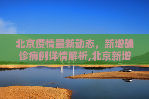 北京疫情最新动态，新增确诊病例详情解析,北京新增确诊病例详情
