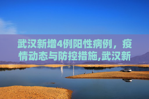 武汉新增4例阳性病例，疫情动态与防控措施,武汉新增4例阳性