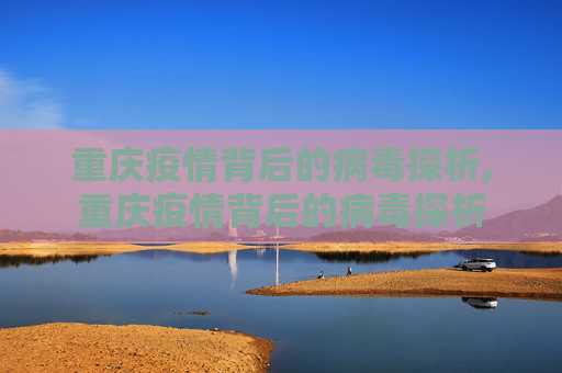重庆疫情背后的病毒探析,重庆疫情背后的病毒探析