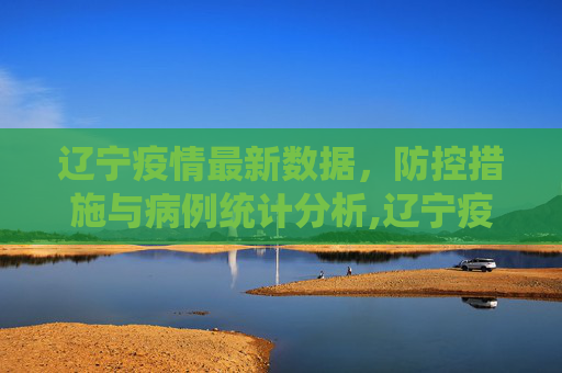 辽宁疫情最新数据，防控措施与病例统计分析,辽宁疫情最新数据