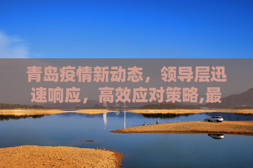 青岛疫情新动态，领导层迅速响应，高效应对策略,最新青岛疫情领导处理