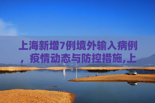 上海新增7例境外输入病例，疫情动态与防控措施,上海新增7例境外输入病例的简单介绍