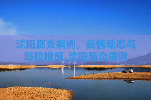 沈阳肺炎病例，疫情动态与防控措施,沈阳肺炎病例